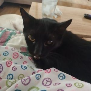 Meet your Posher, Susan